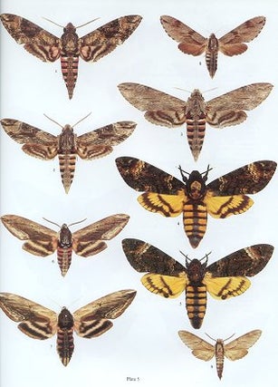 The hawkmoths of the western Palaearctic.
