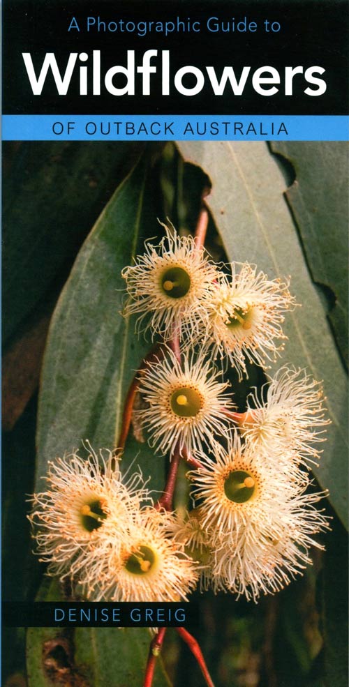 Stock ID 16640 A photographic guide to wildflowers of outback Australia. Denise Greig.