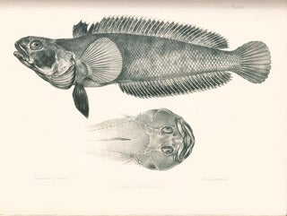 Ichthyology of the voyage of H. M. S. Erebus and Terror, under the command of Captain Sir James Ross.