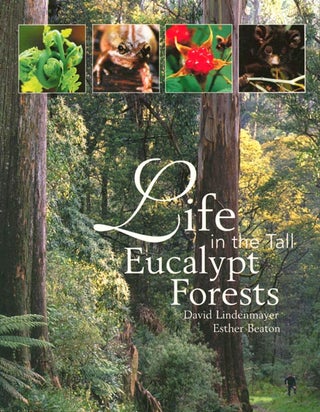 Stock ID 16812 Life in the tall eucalypt forests. David Lindenmayer