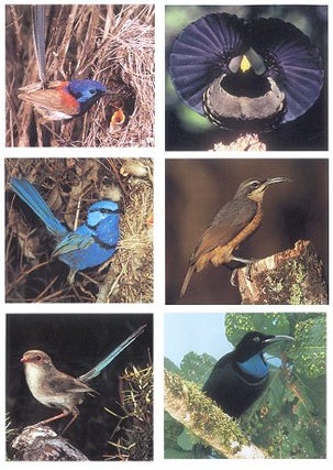 Australian birds: a concise photographic field guide.