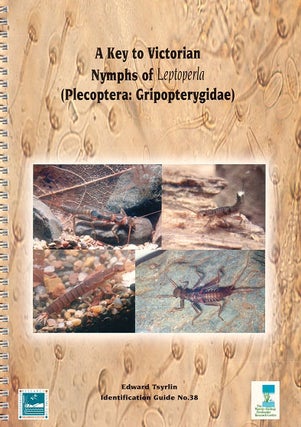 A key to Victorian nymphs of Leptoperla (Plecoptera: Gripopterygidae. Edward Tsyrlin.