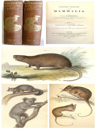 A natural history of the mammalia