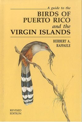Stock ID 1711 A guide to the birds of Puerto Rico and the Virgin Islands. Herbert A. Raffaele.