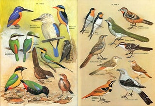 Birds of Australia: a summary of information.