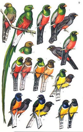 A guide to the birds of Panama.