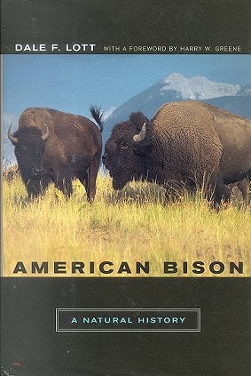 Stock ID 17204 American Bison. Dale F. Lott