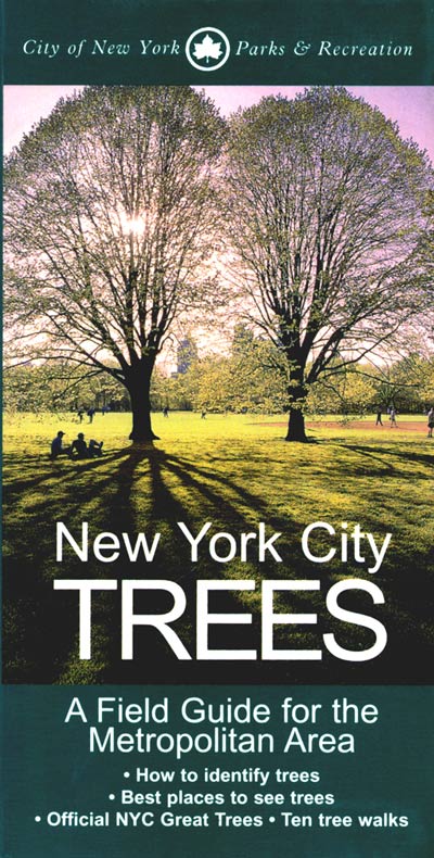 Stock ID 17215 New York city trees: a field guide for the metropolitan area. Edward Sibley Barnard.