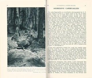Scottish birds: the journal of the Scottish Ornithologists Club, volumes one to eight.