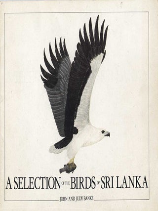 Stock ID 17248 A selection of the birds of Sri Lanka. John and Judy Banks