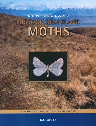 Stock ID 17319 New Zealand tussock grassland moths. E. G. White