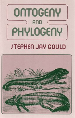 Stock ID 17364 Ontogeny and phylogeny. Stephen Jay Gould