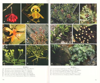 The plants of Mount Kinabalu, Volume 4: Dicotyledon families Acanthaceae to Lythraceae.