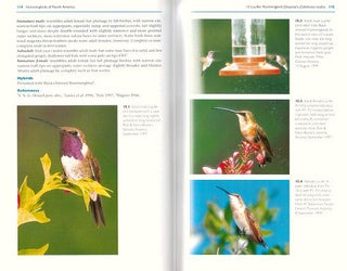 Hummingbirds of North America: the photographic guide.