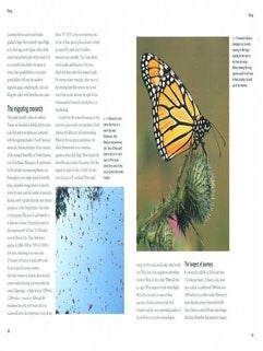 Butterflies.