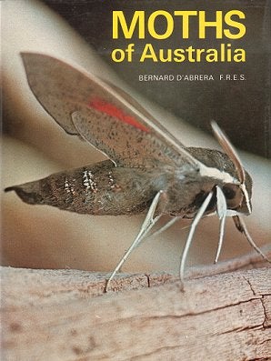 Stock ID 1781 Moths of Australia. Bernard D'Abrera