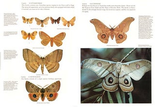 Moths of Australia.