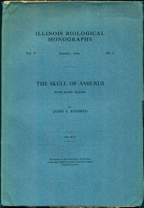 Stock ID 17834 The skull of the Amirus. James E. Kindred