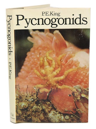 Stock ID 17836 Pycnogonids. P. E King