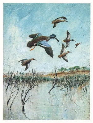 Impressions of waterfowl of Australia: from the original oils on Lauan mahogany panels.