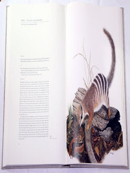 Marsupials of Australia, volume one: possums, the Koala and wombats.