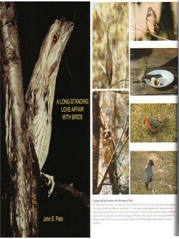 A long-standing love affair with birds.