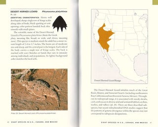 Stock ID 18176 Introduction to horned lizards of North America. Wade C. Sherbrooke
