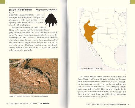 Stock ID 18176 Introduction to horned lizards of North America. Wade C. Sherbrooke.