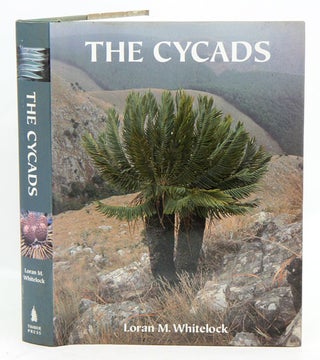 Stock ID 18248 The Cycads. Loran M. Whitelock