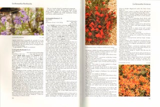 Encyclopaedia of Australian plants suitable for cultivation, volume four.