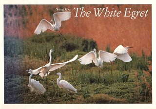 Stock ID 18722 The White Egret. Shingi Itoh