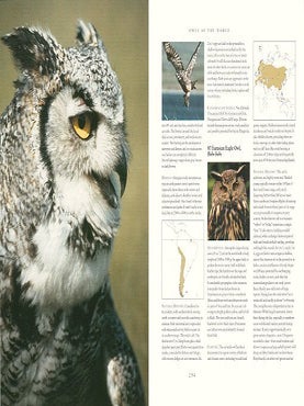 Stock ID 18735 Owls of the world: their behaviour and survival. James Duncan