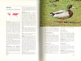Wildfowl of the world.