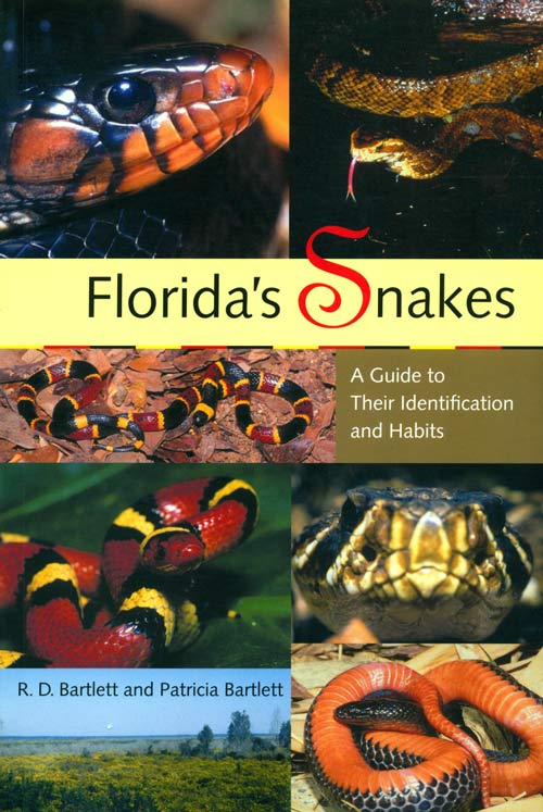 Florida's Snakes: A Guide To Their Identification | R. D. Bartlett ...