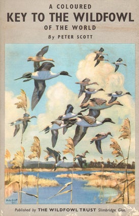 Stock ID 18832 A coloured key to the wildfowl of the world. Peter Scott
