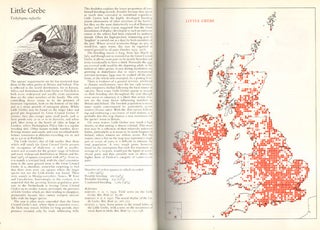 The atlas of breeding birds in Britain and Ireland.