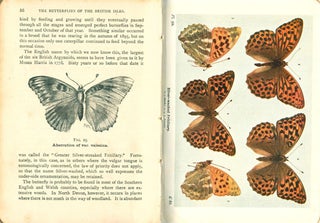 The butterflies of the British Isles.