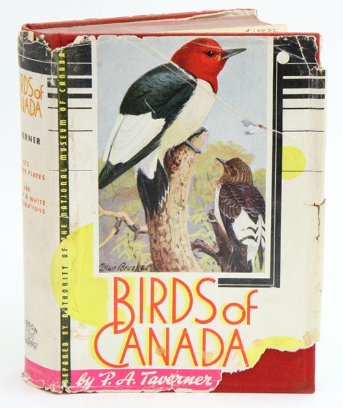 Stock ID 18972 Birds of Canada. P. A. Taverner.