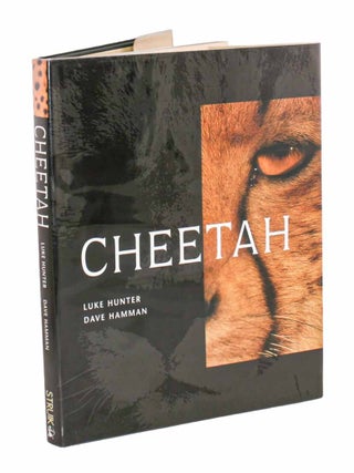 Stock ID 19271 Cheetah. Luke Hunter, Dave Hamman