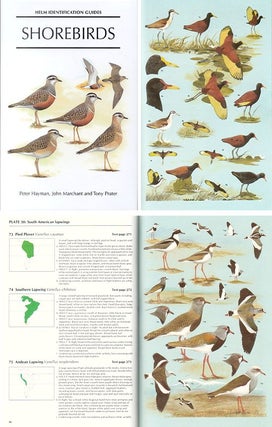 Stock ID 1928 Shorebirds: an identification guide to the waders of the world. Peter Hayman, John...