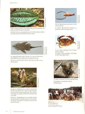 A Biological Assessment of the aquatic ecosystems of the Caura River Basin, Bolivar State, Venezuela.