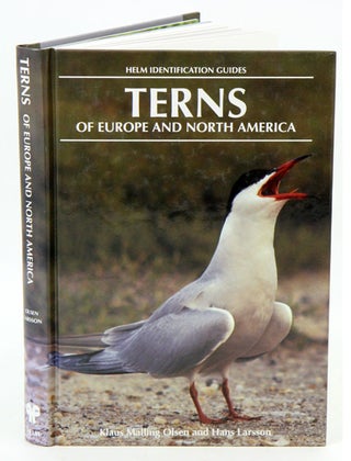 Stock ID 1939 Terns of Europe and North America. Klaus Malling Olsen, Hans Larsonn