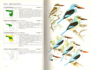 Kingfishers, bee-eaters and rollers: a handbook.