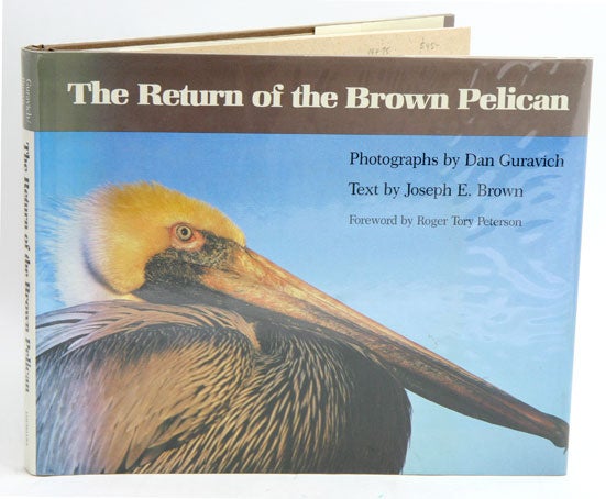 Stock ID 19475 The return of the brown pelican. Joseph E. Brown.