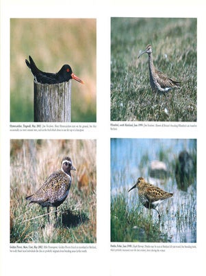 The birds of Shetland.