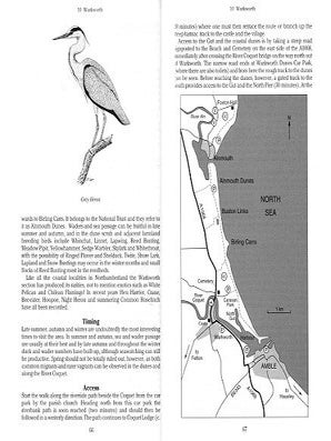 Where to watch birds in Northeast England.