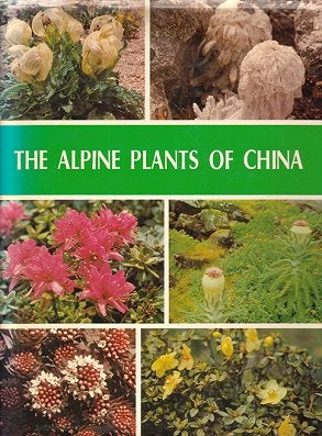 Stock ID 19562 The alpine plants of China. Jingwei Zhang