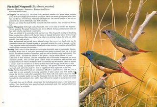 Aviary birds in colour.