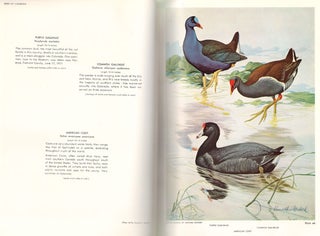 Birds of Colorado, volume one.