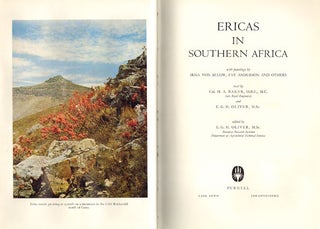 Ericas in Southern Africa.